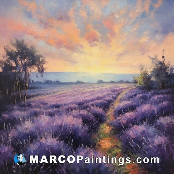 David mesier sunset lavender field