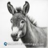Donkey by huckleberry studios