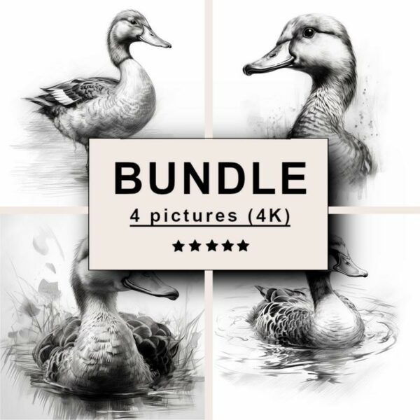 Duck Black White Draw Sketch Bundle