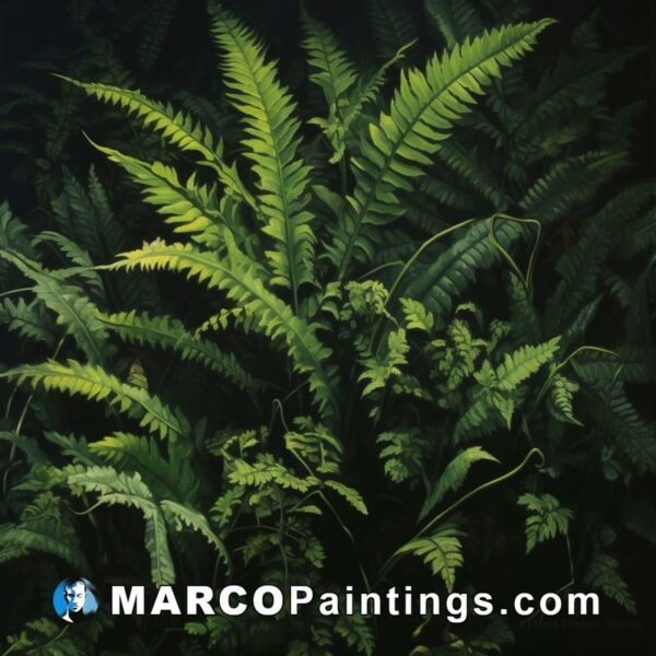 Ferns and tropical plants on black background