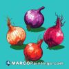 Four red and colorful onions on a blue background