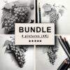 Grapes Black White Draw Sketch Bundle