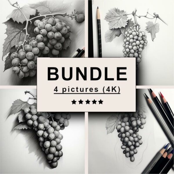 Grapes Black White Draw Sketch Bundle