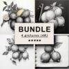 Lemons Black White Draw Sketch Bundle