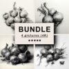 Onions Black White Draw Sketch Bundle