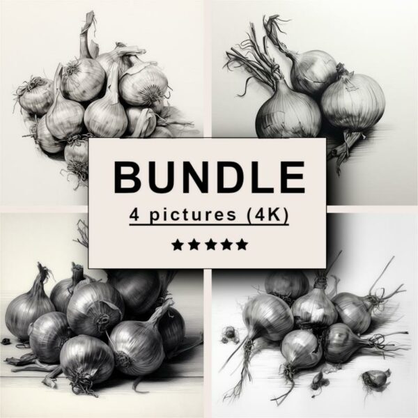 Onions Black White Draw Sketch Bundle