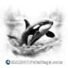 Orca whale jumping black and white tshirt with forest