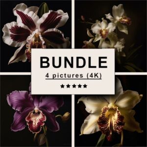 Orchid Dramatic Lighting Bundle