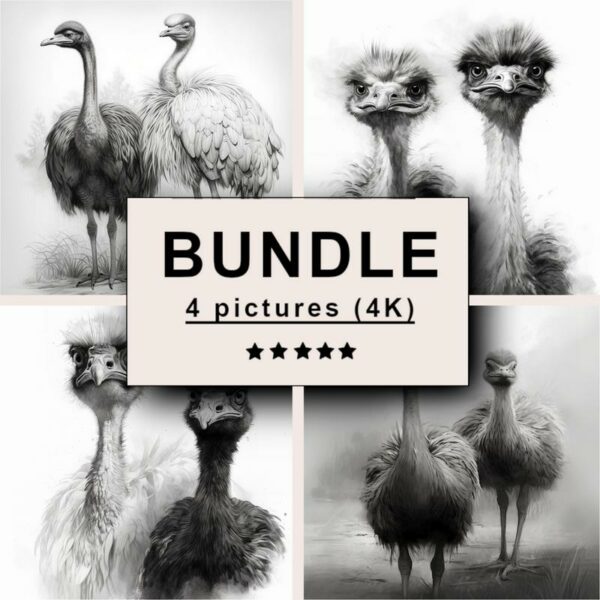 Ostrich and Emu Black White Draw Sketch Bundle