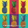 Pop art in five colorful pineapples illustration