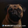 Portrait of a pug with a black background