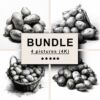 Potatoes Black White Draw Sketch Bundle