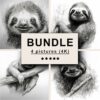 Sloth Black White Draw Sketch Bundle