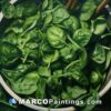 Spinach painting spinach fine art by martin hulse