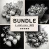 Strawberries Black White Draw Sketch Bundle