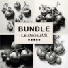 Tomatoes Black White Draw Sketch Bundle