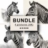 Zebra Black White Draw Sketch Bundle