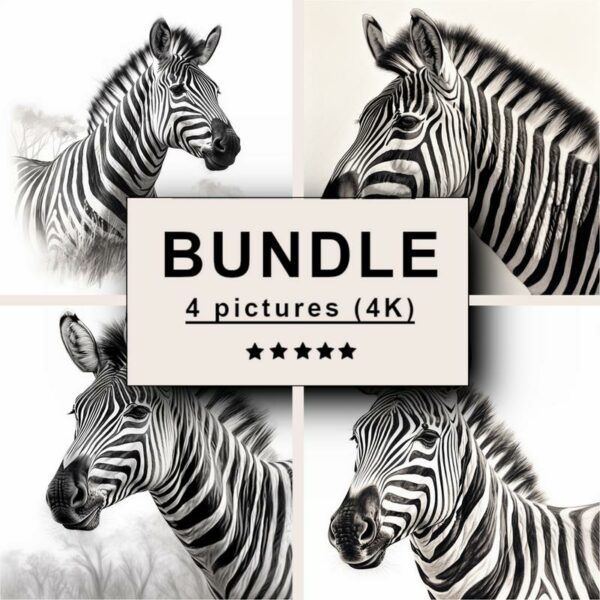 Zebra Black White Draw Sketch Bundle