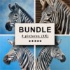 Zebra Oil Painting Bundle