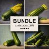 Zucchini Oil Painting Bundle